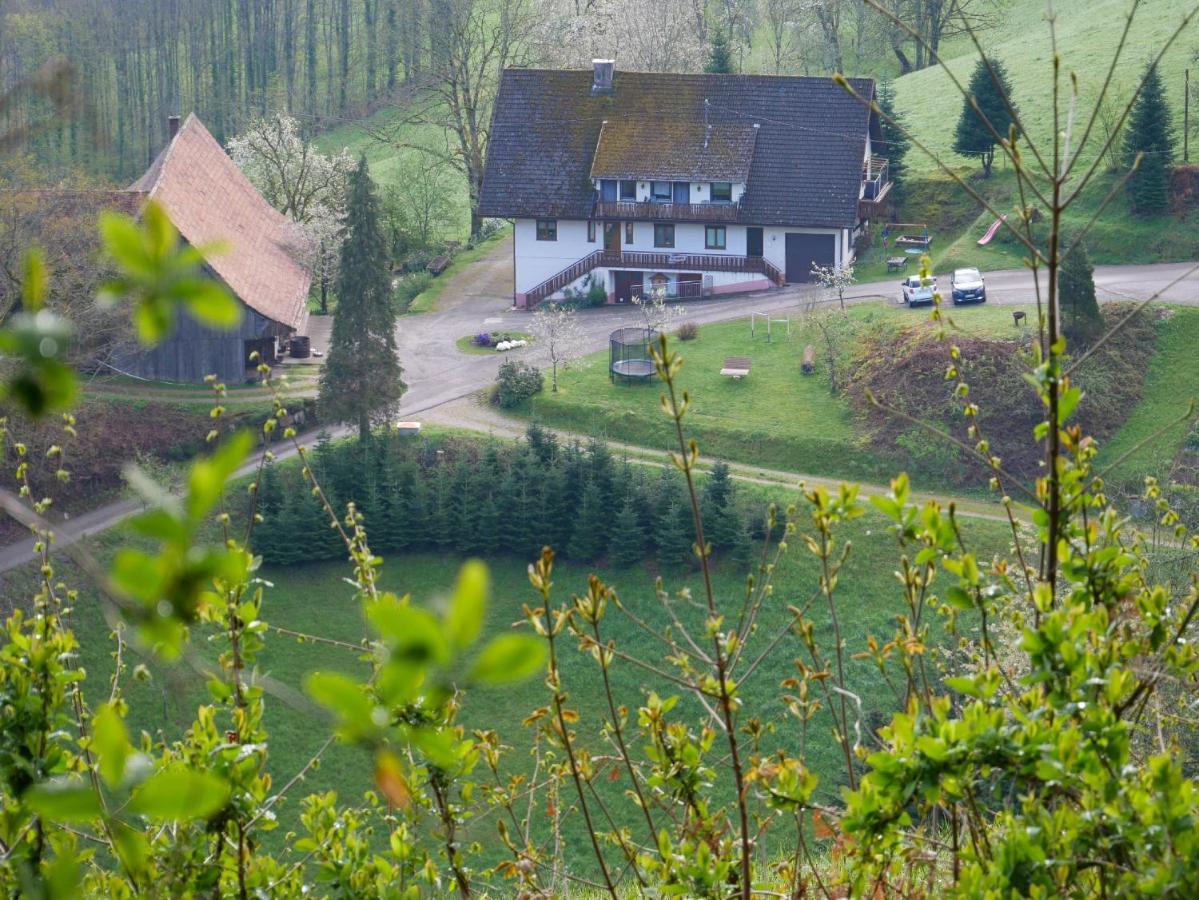 Buehlbauernhof Villa Бад Петерстал-Грисбах Екстериор снимка